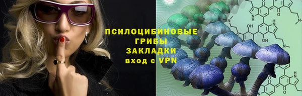 молекула духа Надым