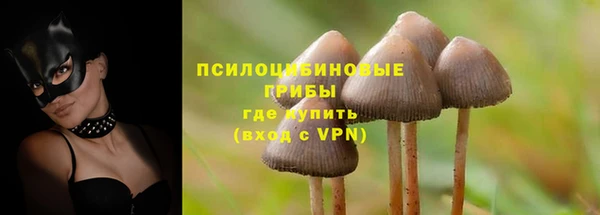 молекула духа Надым