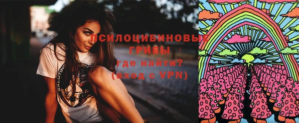 молекула духа Надым