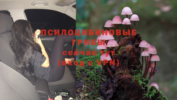 молекула духа Надым