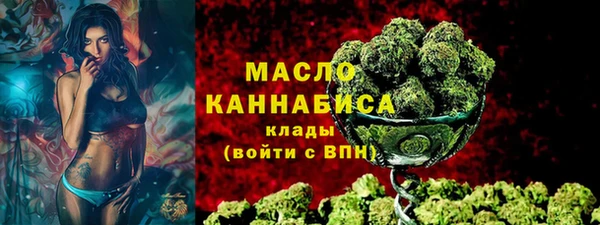 молекула духа Надым