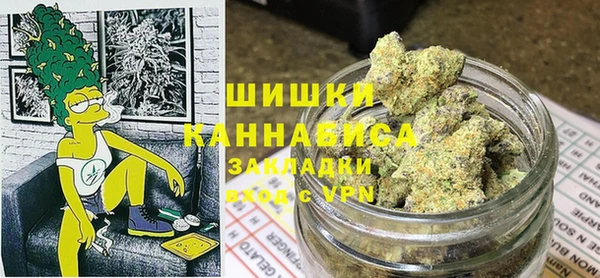 молекула духа Надым